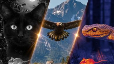 كولاج ثلاثي يوضح حقائق علمية حول رؤية الحيوانات المختلفة مقارنة بالبشر؛ القسم الأيسر يظهر الرؤية الليلية الفائقة للقطط، الوسط يظهر الرؤية الحادة والأشعة فوق البنفسجية للطيور الجارحة مثل النسر، والقسم الأيمن يظهر الرؤية الحرارية (الأشعة تحت الحمراء) للأفاعي وهي ترصد الفريسة. تجسيد لقدرات بصرية لا يراها البشر.